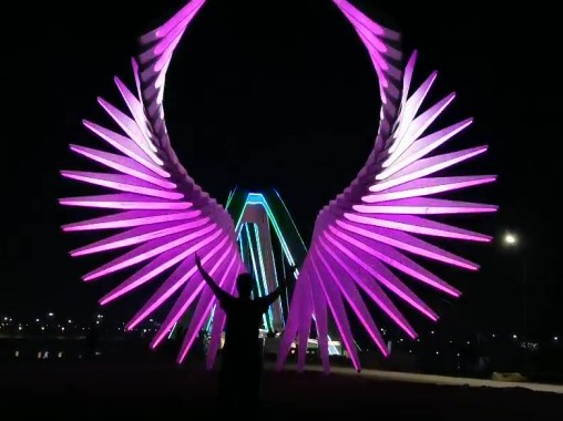 體感互動發光翅膀