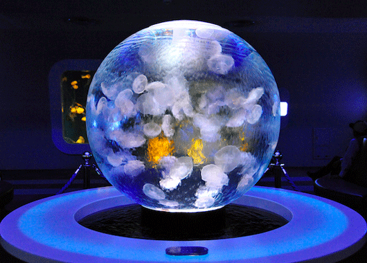 球幕投影在舞臺表演、ktv場所的應用場景