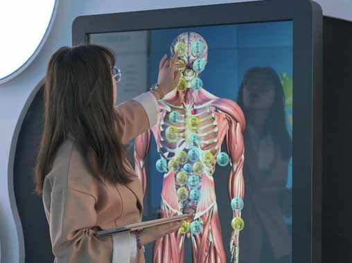 液晶觸摸互動(dòng)查詢一體機(jī)-口腔與器官的關(guān)系圖