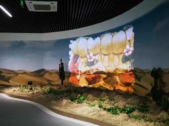 墻面弧幕投影-好奇數字科技